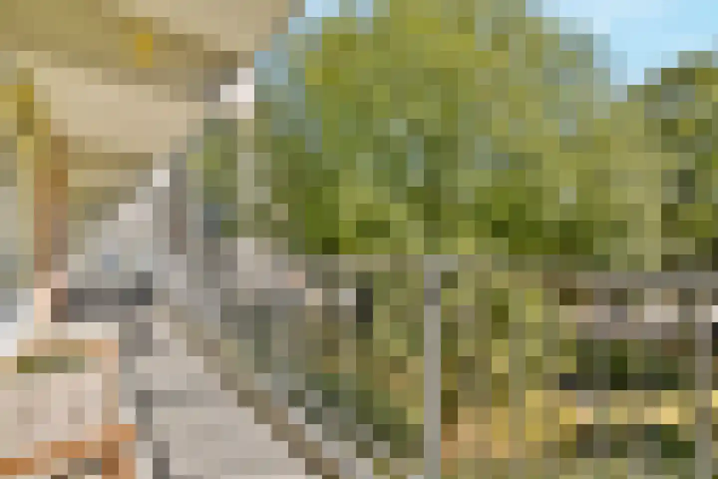 Amerbos 69 Amsterdam thumbnail 26