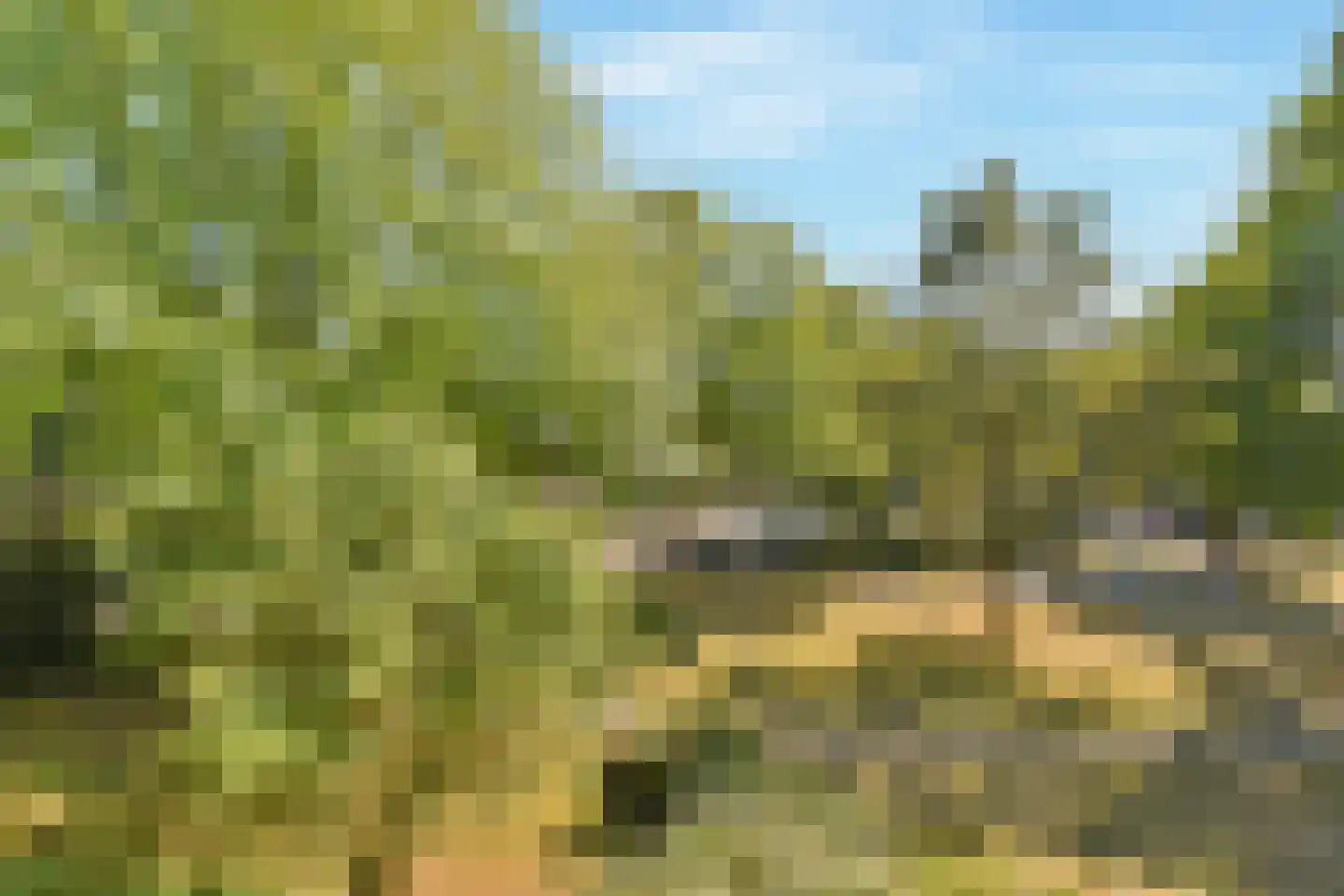 Amerbos 69 Amsterdam thumbnail 33