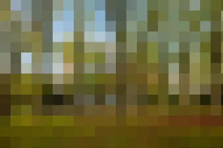 Amerbos 86 Amsterdam thumbnail 24