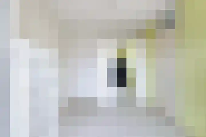 Amerhof 104 Utrecht thumbnail 27
