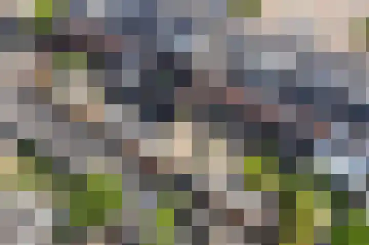Amerhof 104 Utrecht thumbnail 36