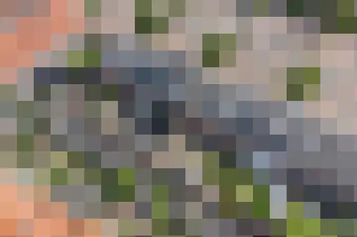 Amerhof 104 Utrecht thumbnail 37