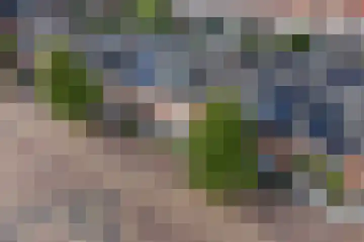 Amerhof 104 Utrecht thumbnail 38
