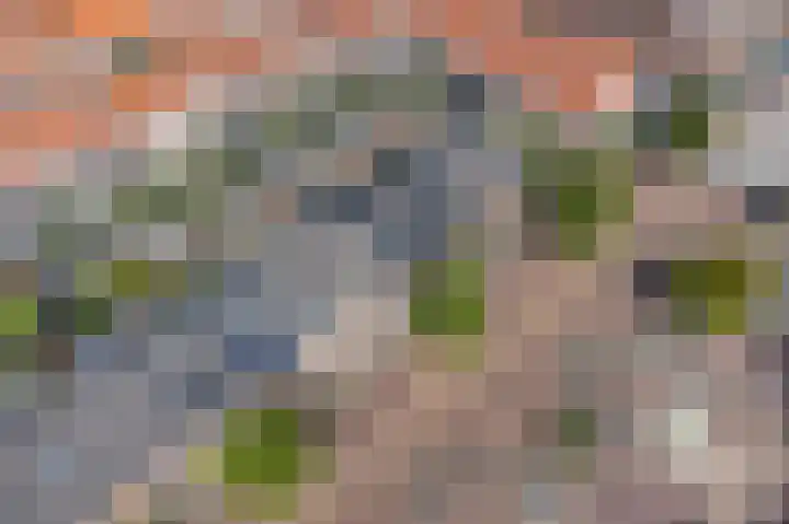 Amerhof 104 Utrecht thumbnail 39