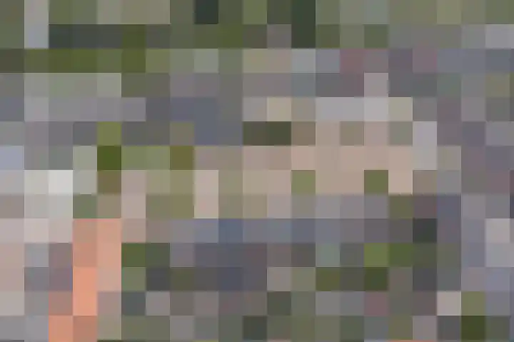 Amerhof 104 Utrecht thumbnail 41