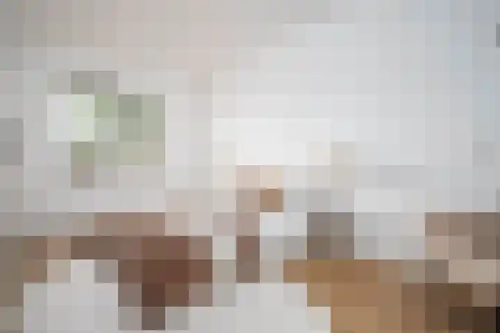 Amerhof 110 Utrecht thumbnail 17
