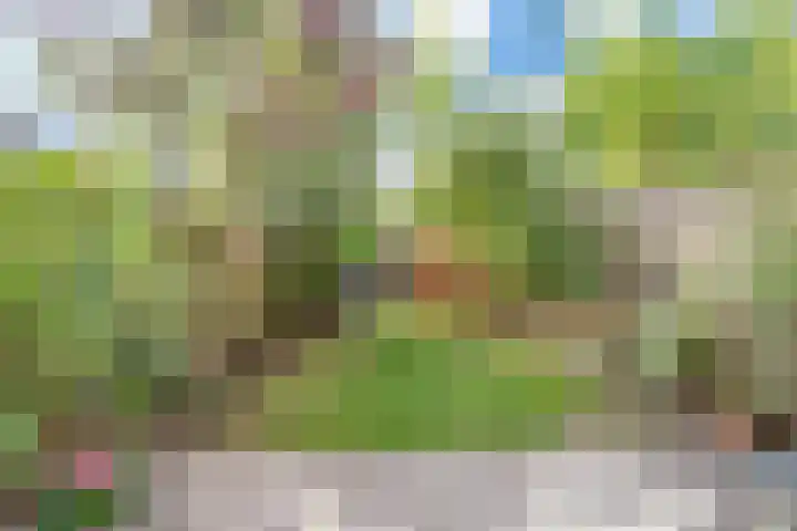 Amerhof 110 Utrecht thumbnail 28
