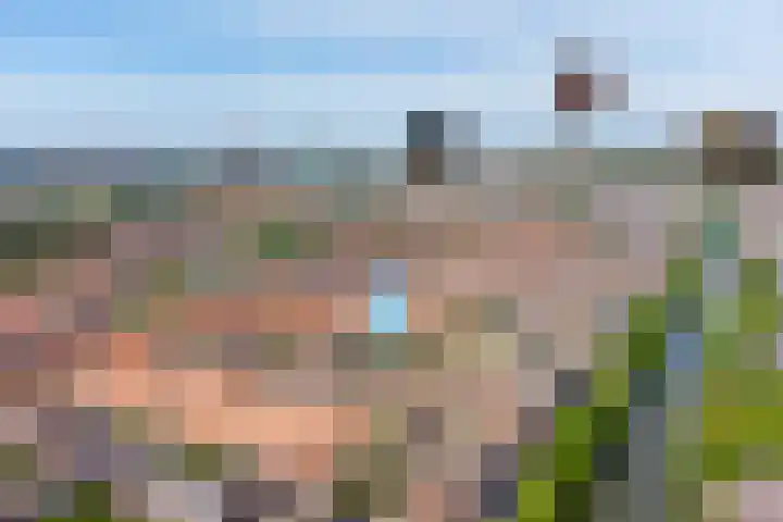 Amerhof 110 Utrecht thumbnail 34