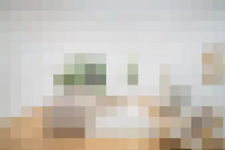 Amerhof 110 Utrecht thumbnail 4