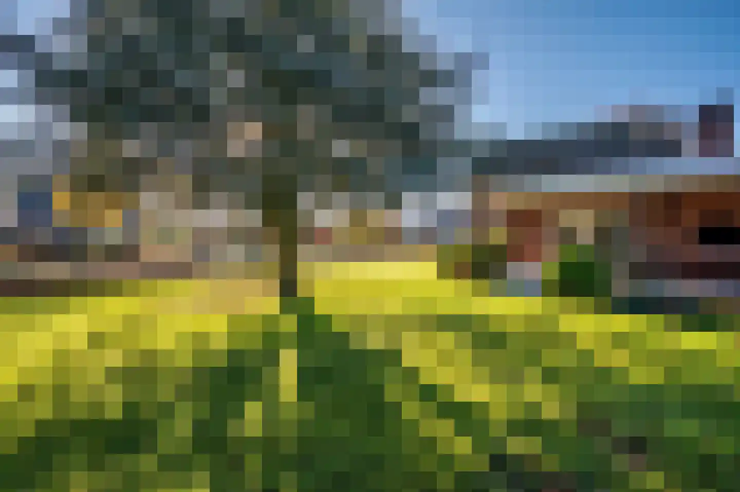 Americaanseweg 108 Meterik thumbnail 51