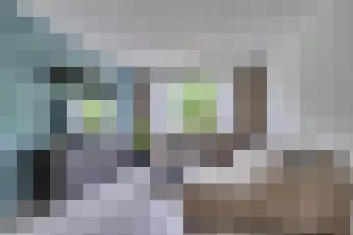 Americaanseweg 18 Kronenberg thumbnail 8