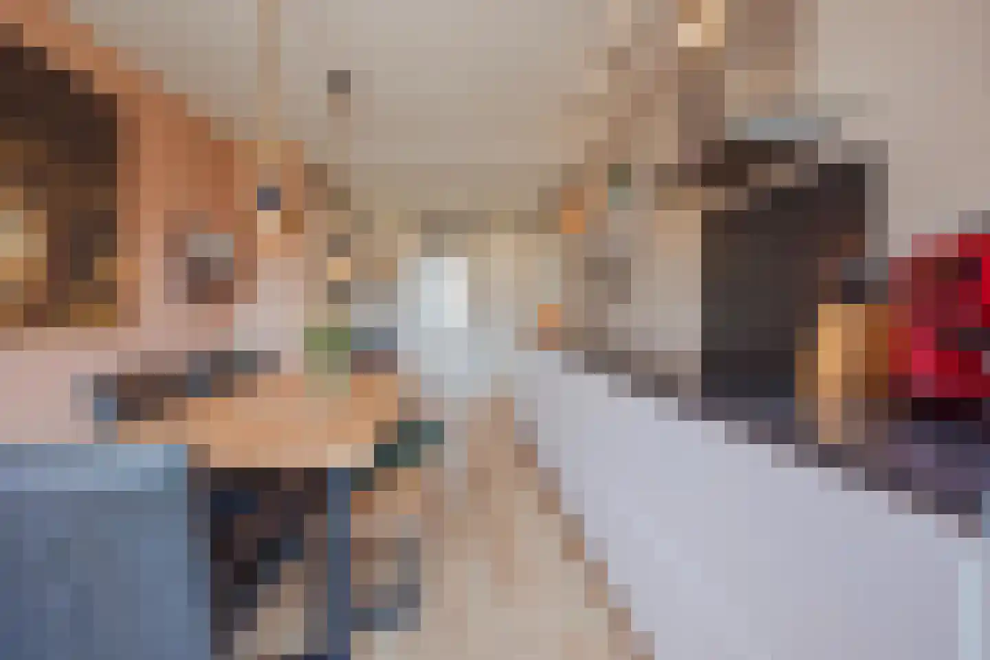 Americaanseweg 4 Horst thumbnail 5