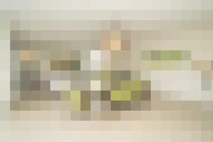 Americastraat 20 Tilburg thumbnail 20