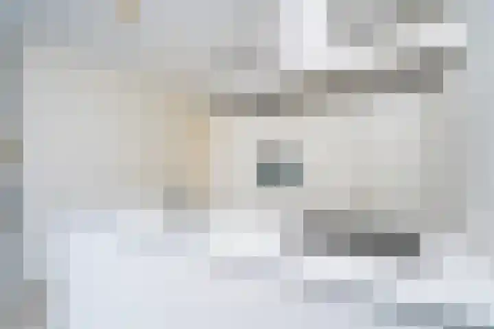 Americastraat 20 Tilburg thumbnail 25