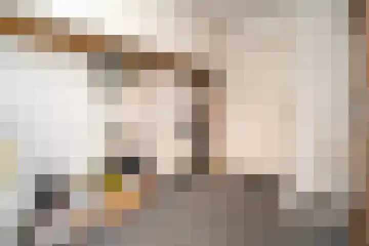 Americastraat 20 Tilburg thumbnail 38