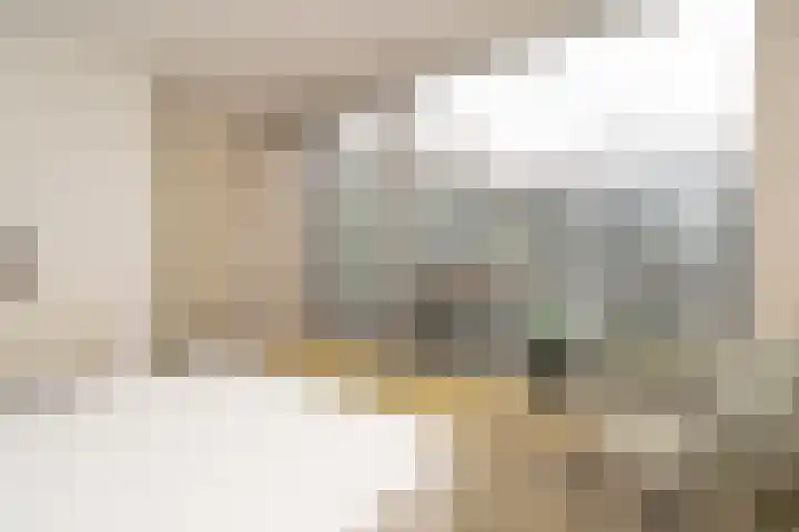 Americastraat 20 Tilburg thumbnail 43