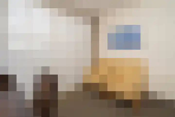 Americastraat 20 Tilburg thumbnail 51