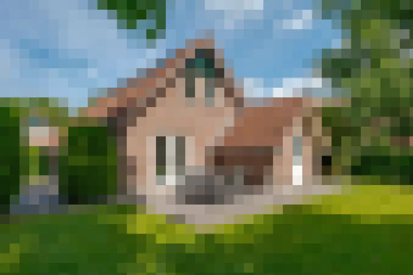 Amerika 10 R17 Een thumbnail 33