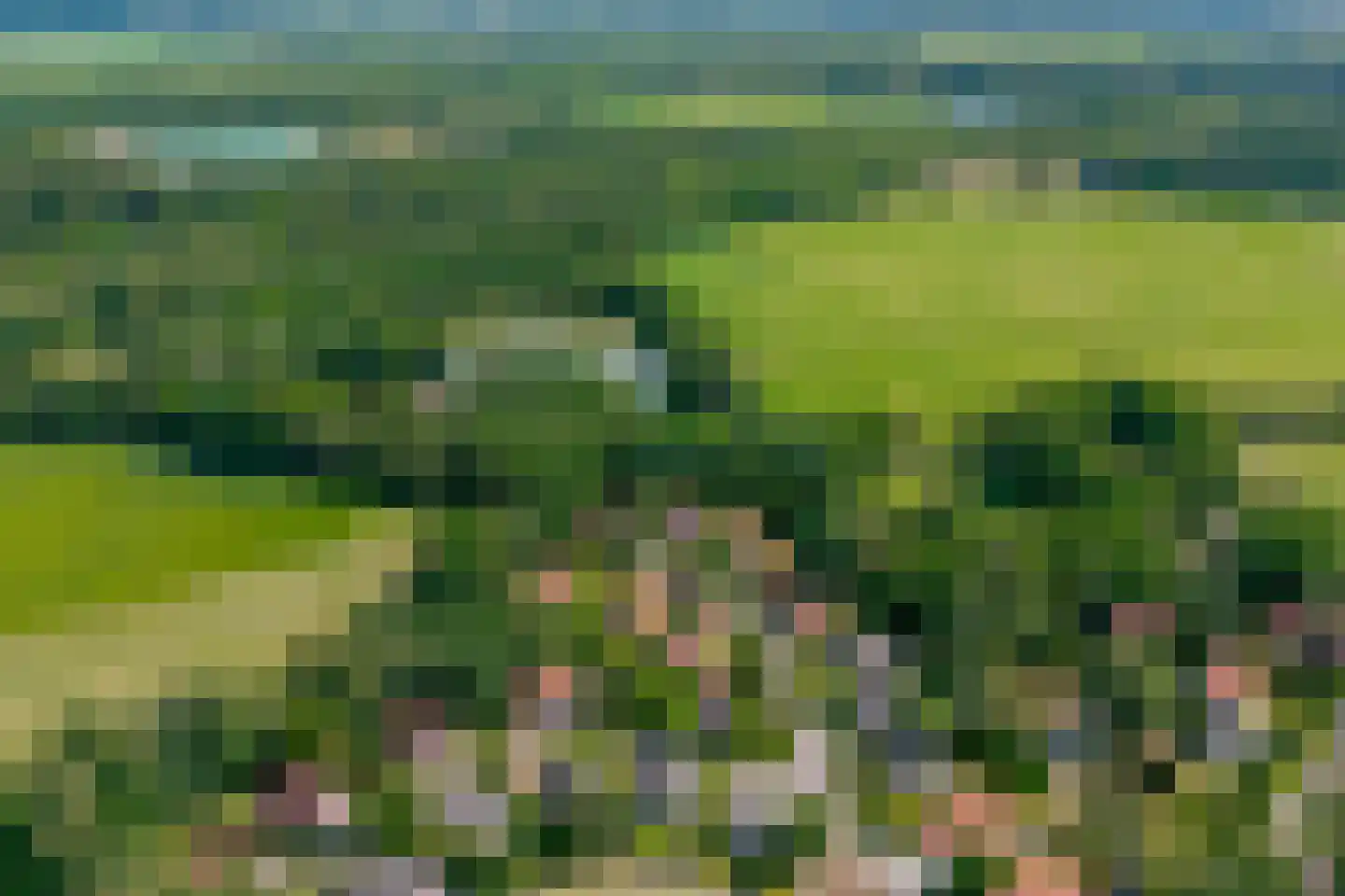 Amerika 10 R17 Een thumbnail 50