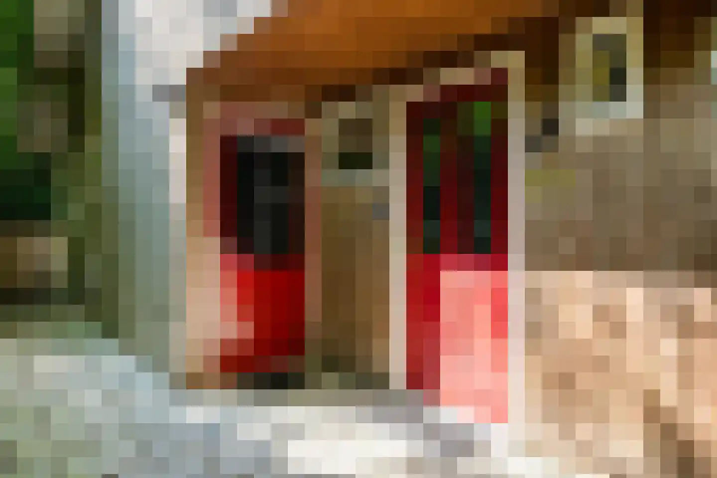 Amerika H 20 Een thumbnail 11