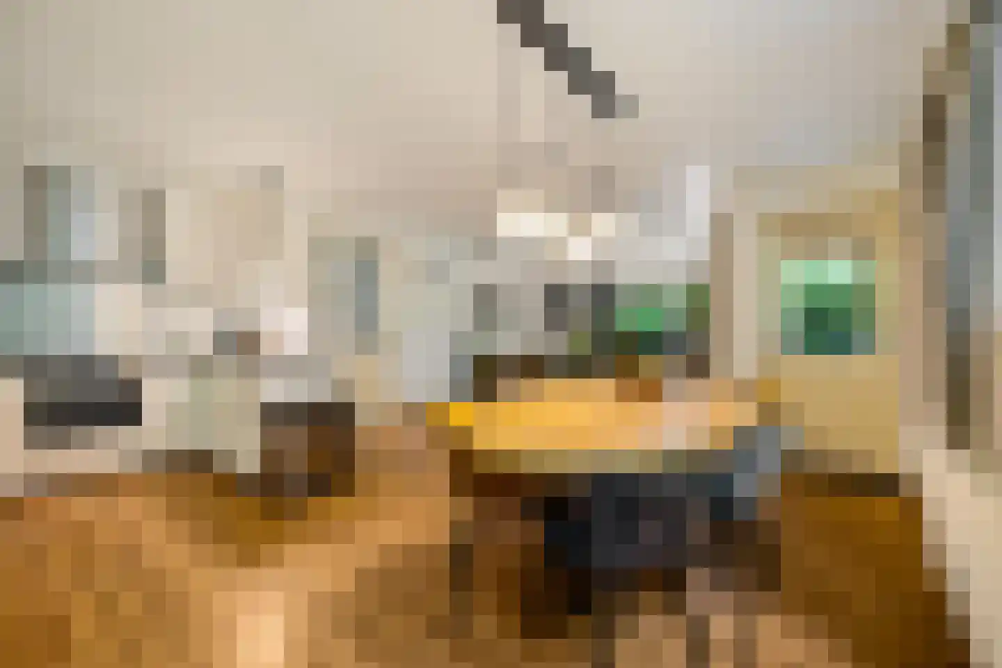 Amerika H 20 Een thumbnail 22