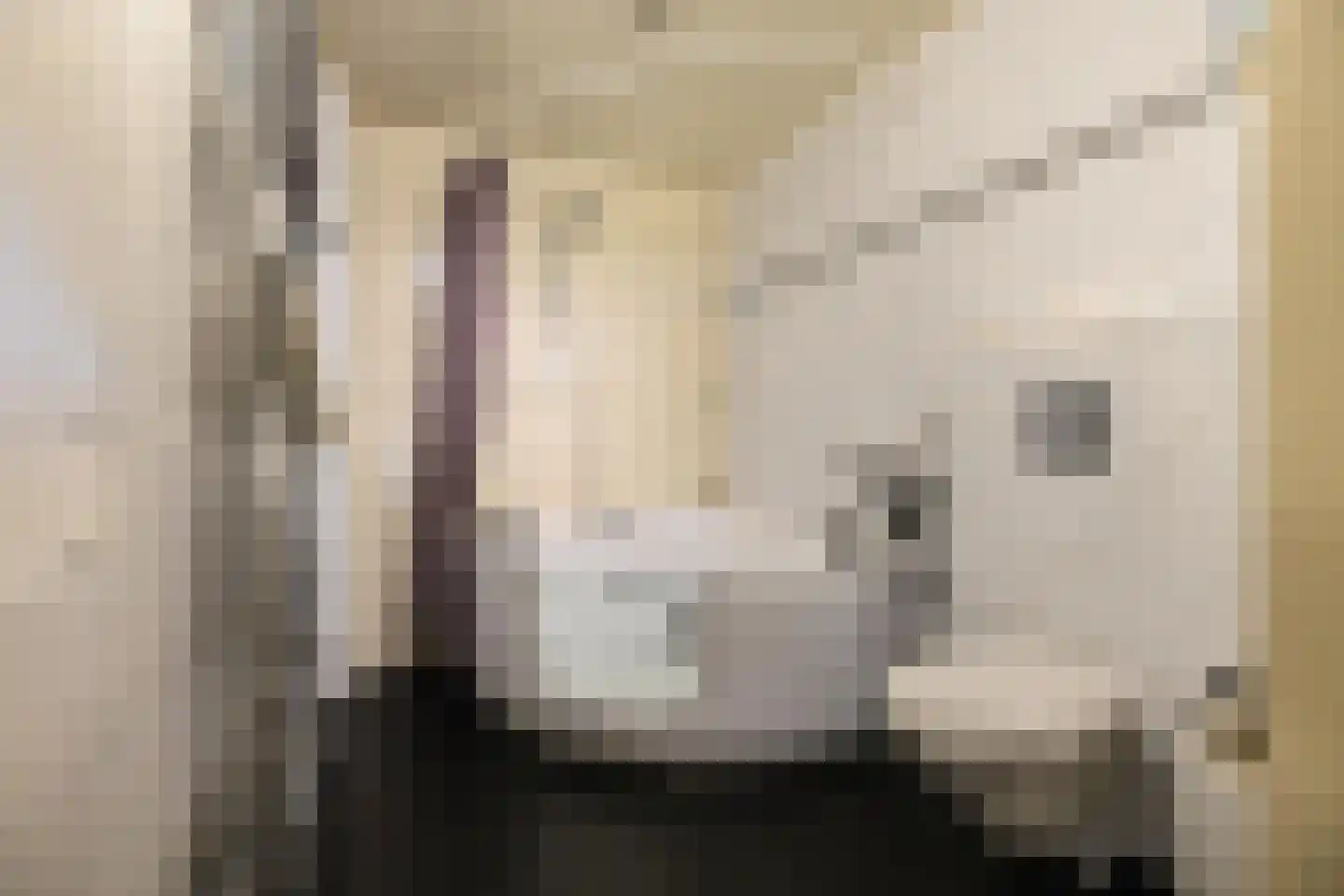 Amerika H 20 Een thumbnail 27