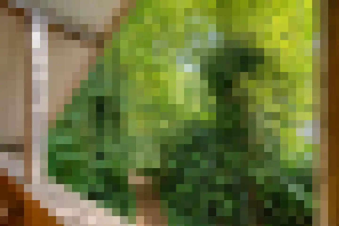 Amerika H 20 Een thumbnail 33