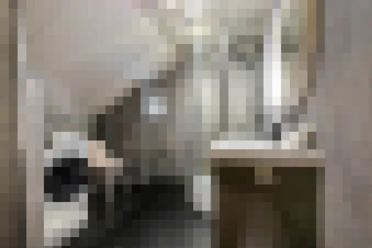 Amerika H 20 Een thumbnail 42