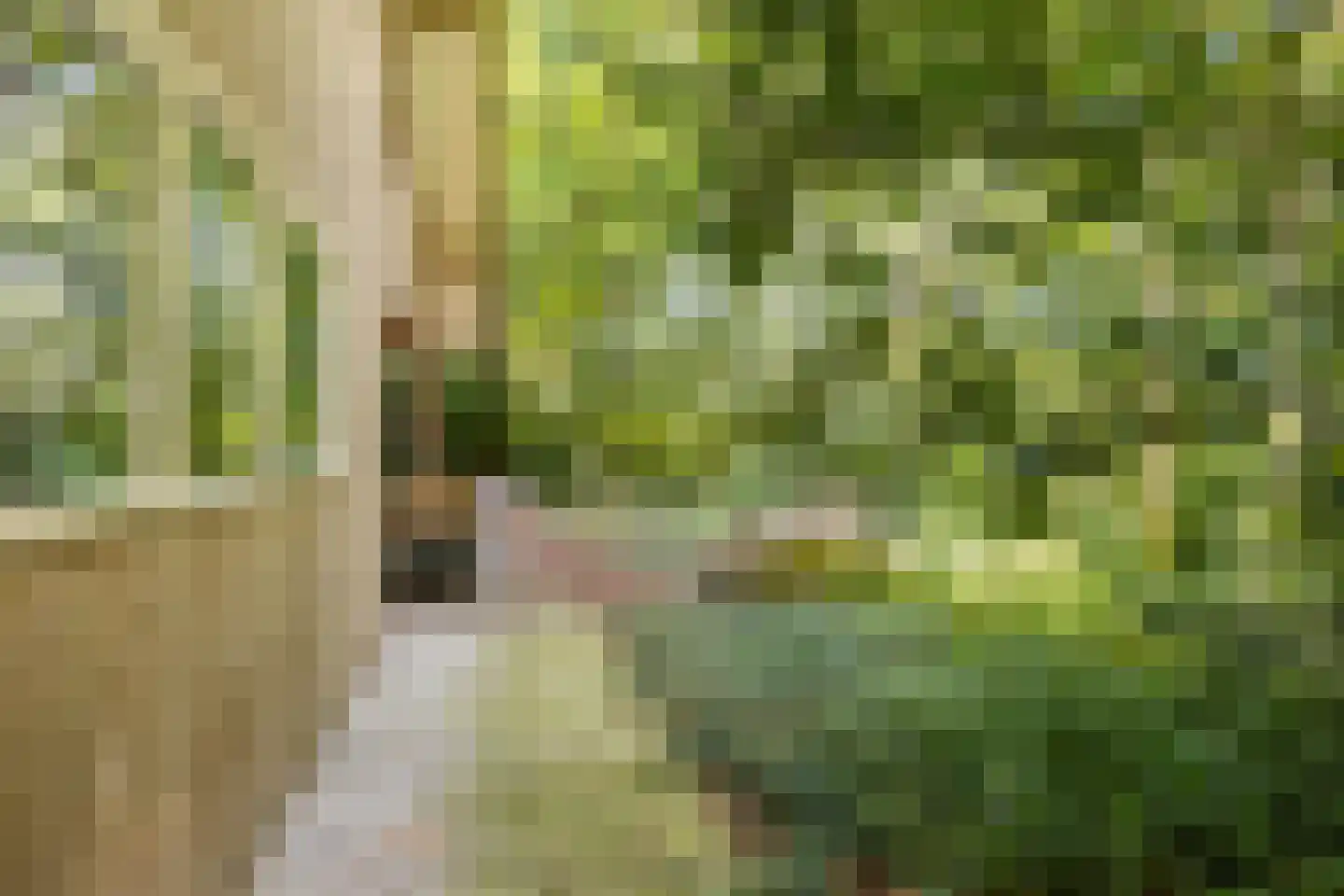 Amerika H 20 Een thumbnail 47