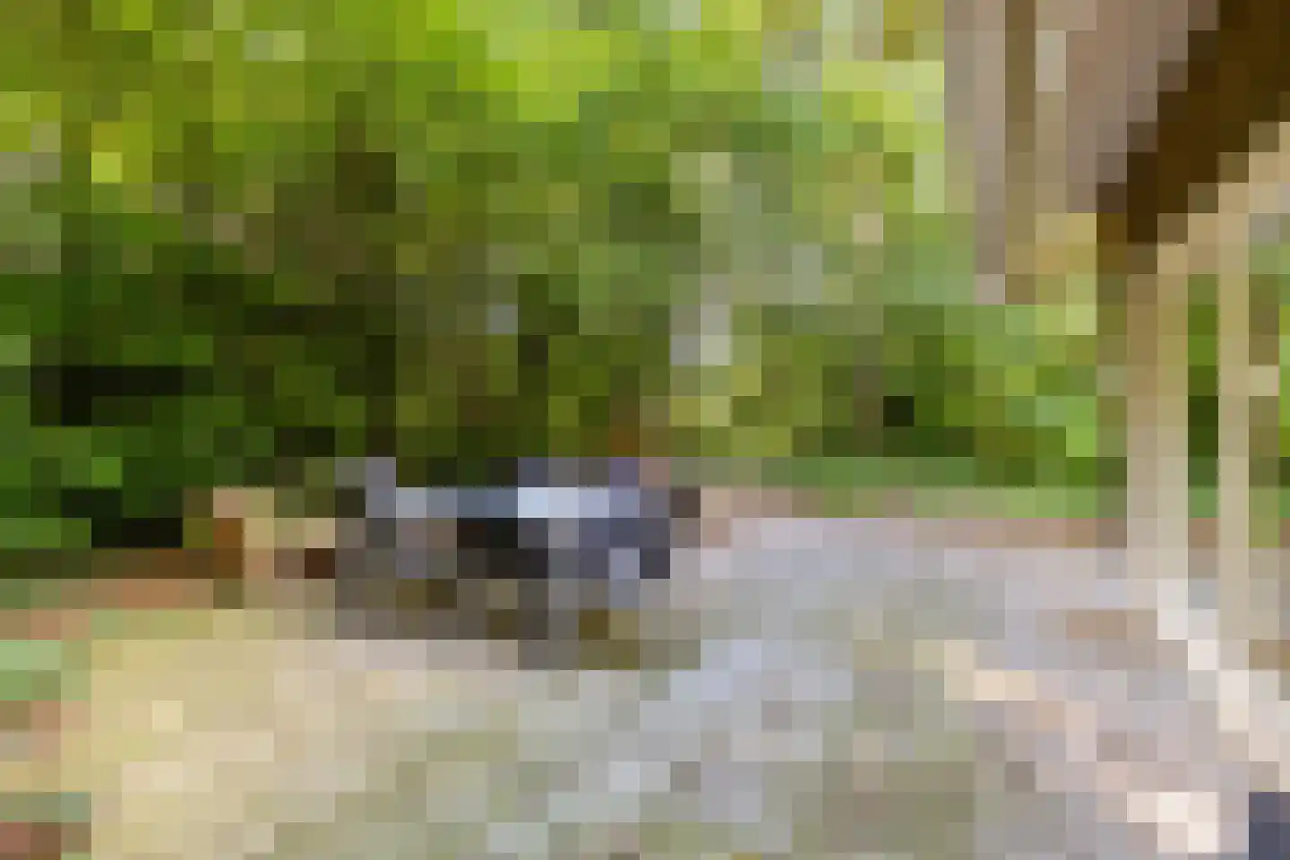 Amerika H 20 Een thumbnail 49