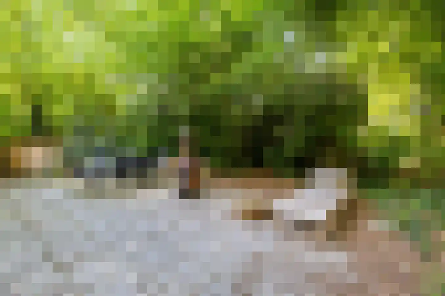Amerika H 20 Een thumbnail 50