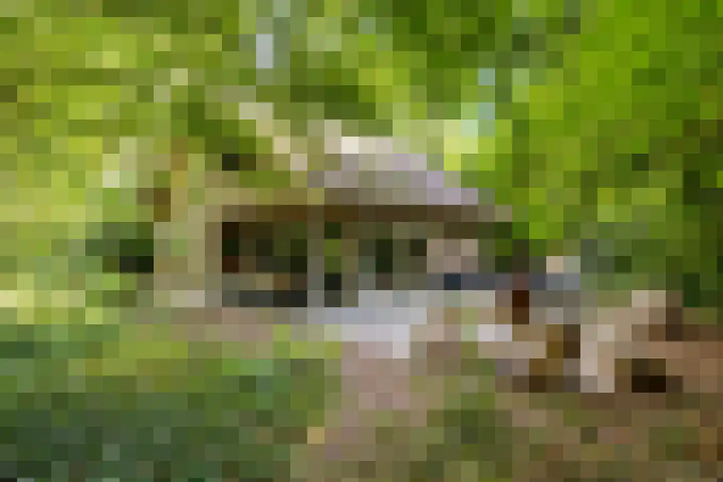 Amerika H 20 Een thumbnail 51