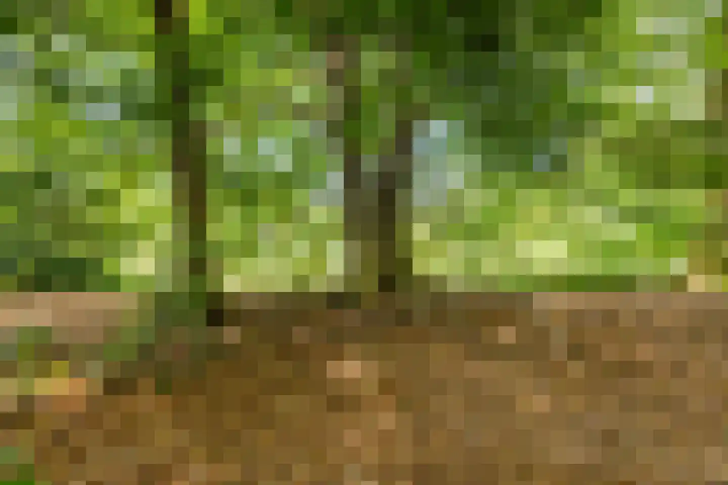 Amerika H 20 Een thumbnail 52