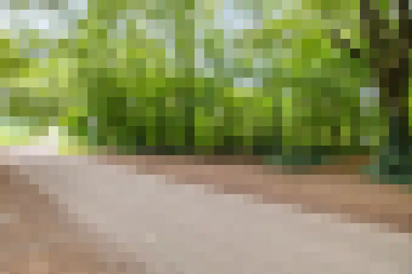 Amerika H 20 Een thumbnail 7
