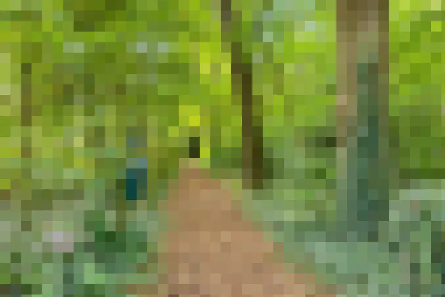 Amerika H 20 Een thumbnail 8