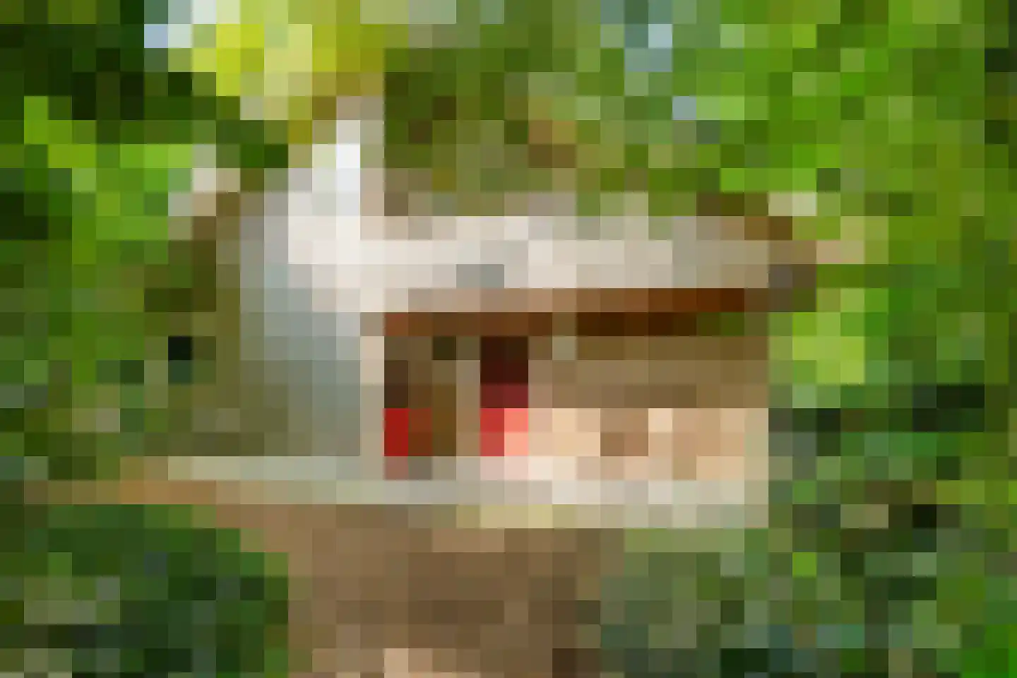 Amerika H 20 Een thumbnail 9