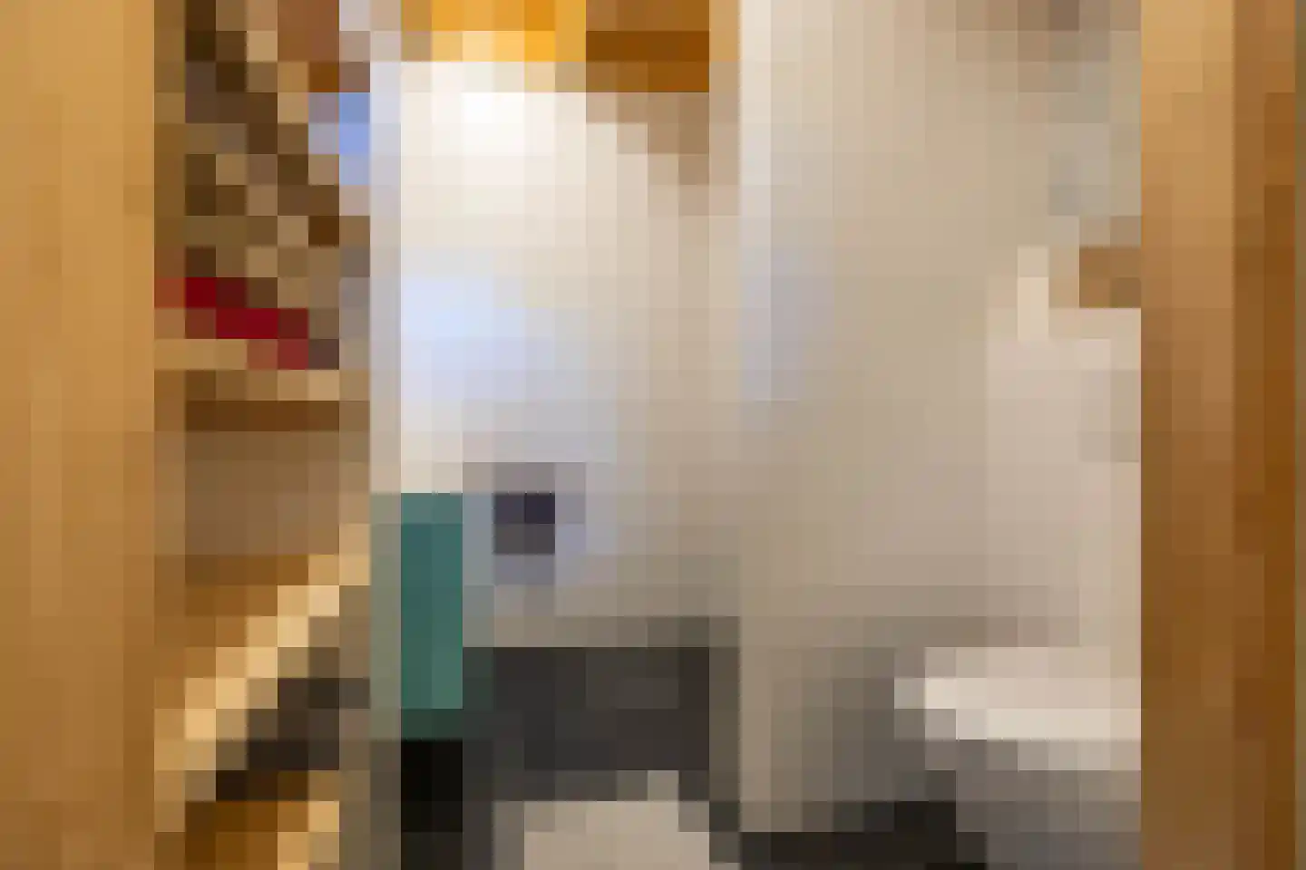 Amerika H 30 Een thumbnail 18