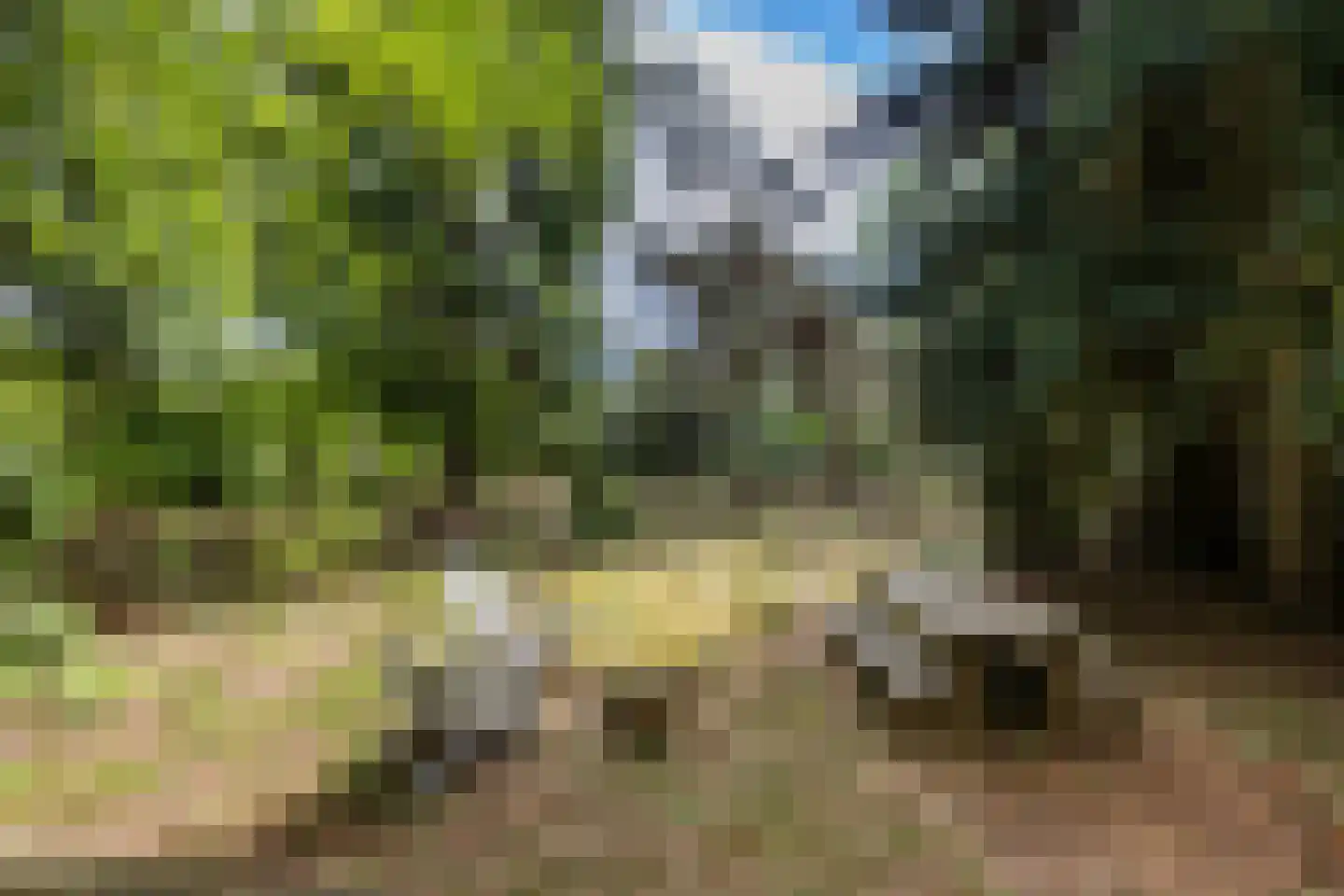 Amerika H 30 Een thumbnail 36