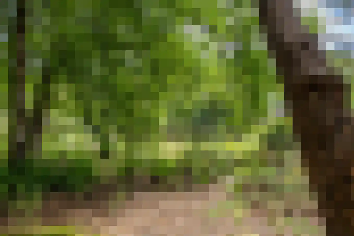 Amerika H 30 Een thumbnail 37