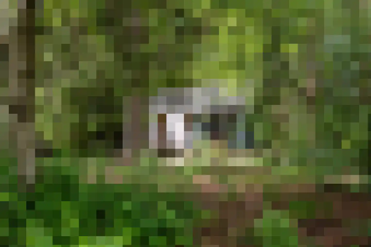 Amerika H 30 Een thumbnail 39