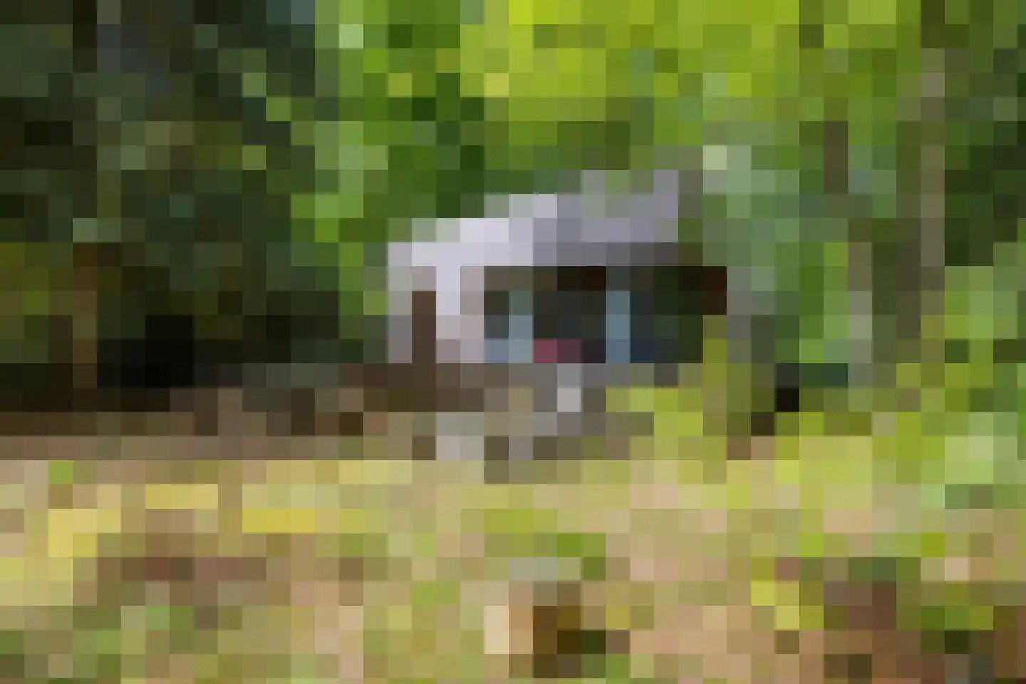 Amerika H 30 Een thumbnail 40
