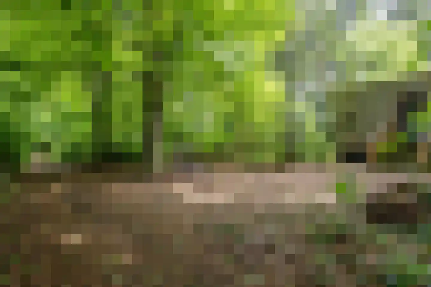 Amerika H 30 Een thumbnail 42