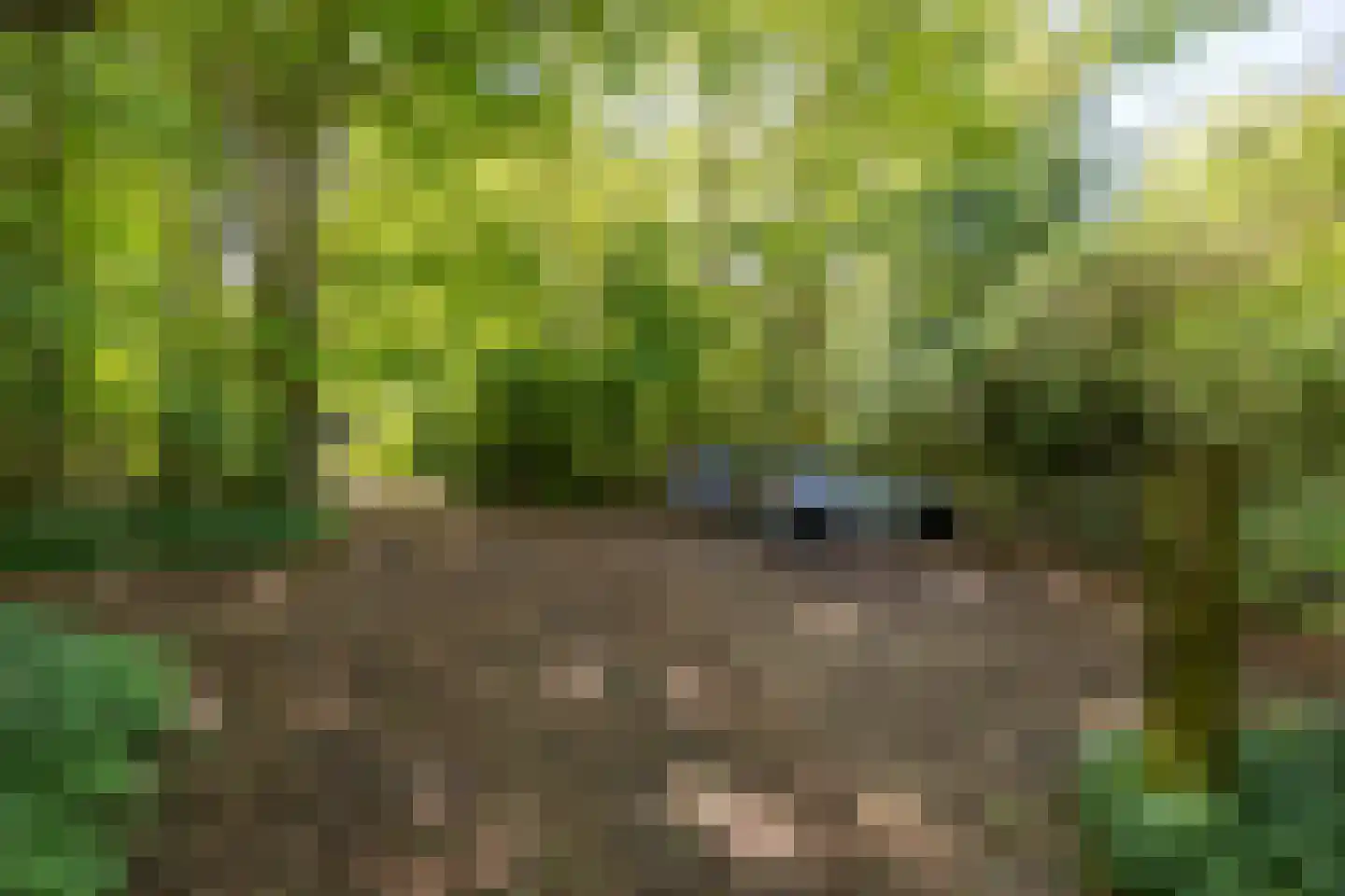 Amerika H 30 Een thumbnail 43