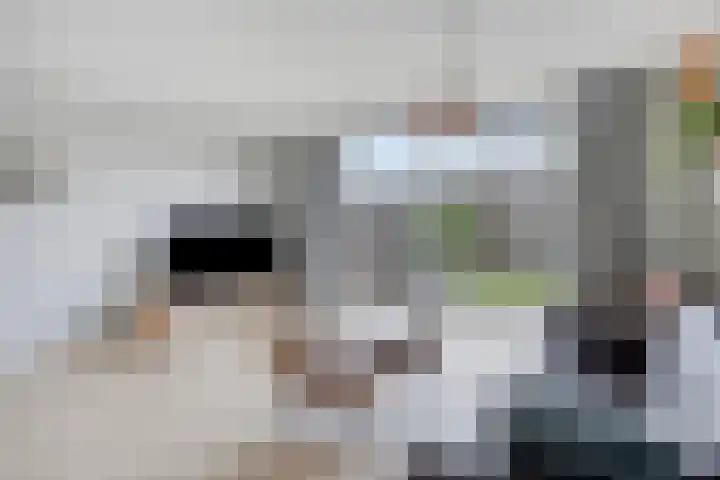 Amerikalaan 141 IJsselstein thumbnail 12