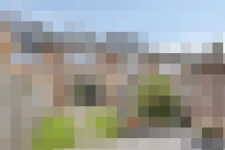 Amerikalaan 141 IJsselstein thumbnail 27