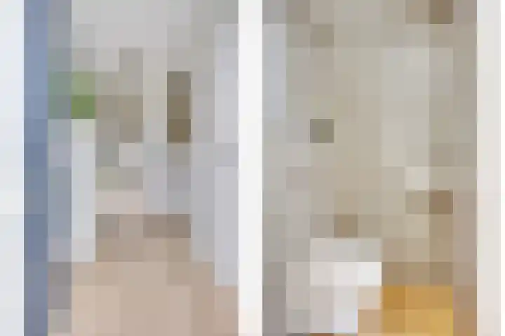 Amerikalaan 141 IJsselstein thumbnail 8