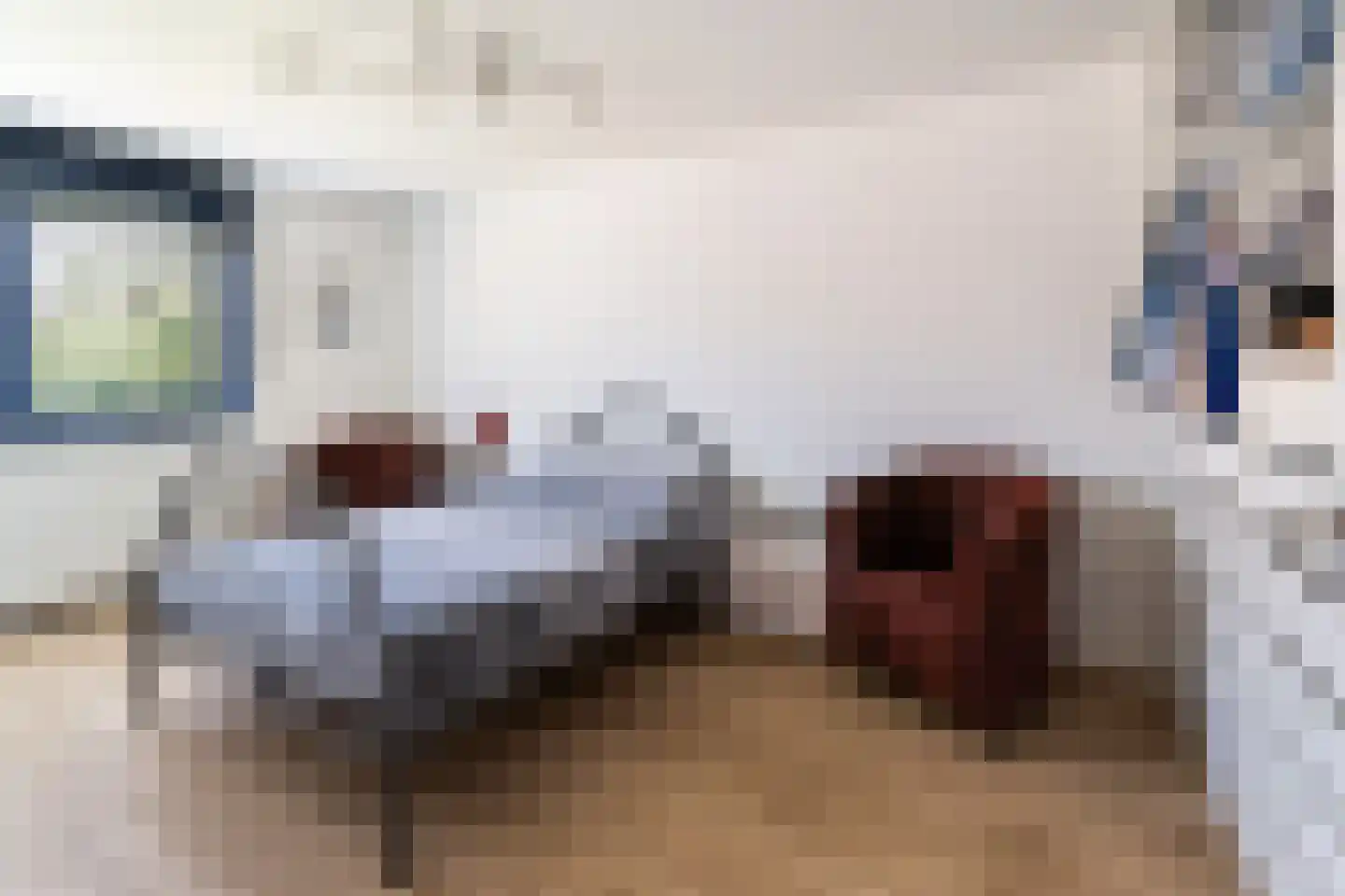 Amerikalaan 22 IJsselstein thumbnail 25