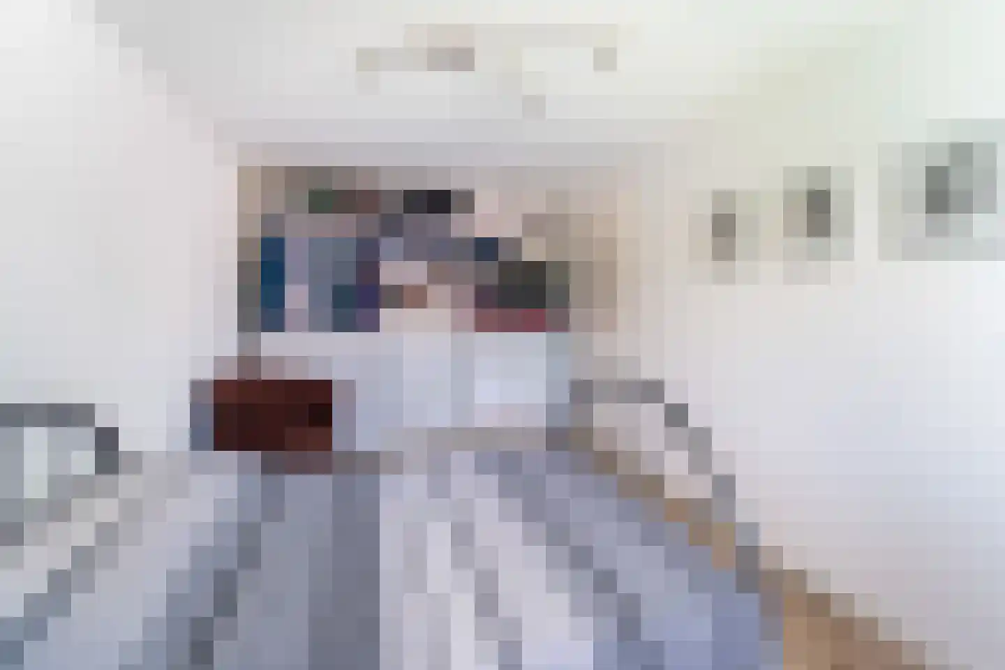 Amerikalaan 22 IJsselstein thumbnail 26
