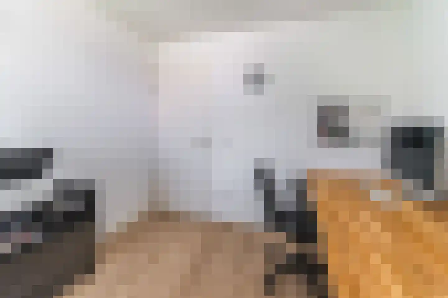 Amerikalaan 22 IJsselstein thumbnail 30