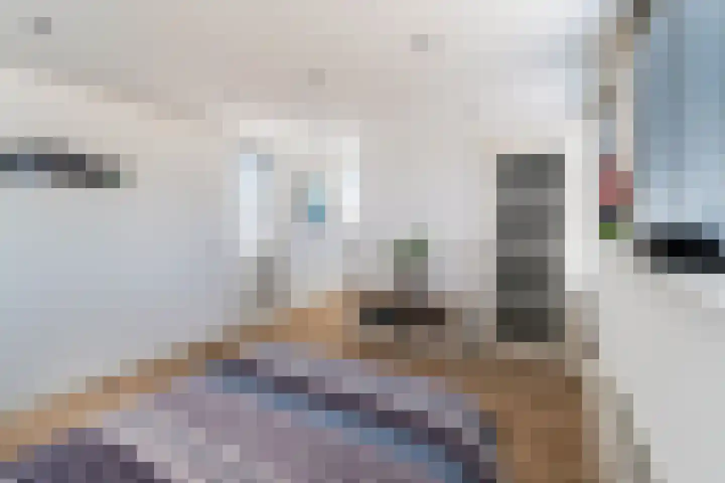 Amerikalaan 22 IJsselstein thumbnail 32